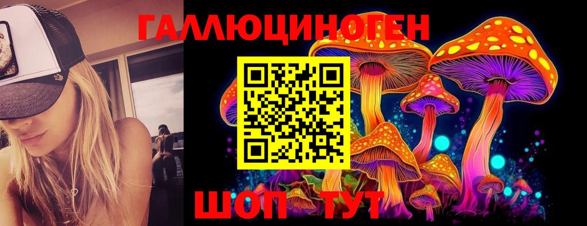 Псилоцибиновые грибы MAGIC MUSHROOMS Донской