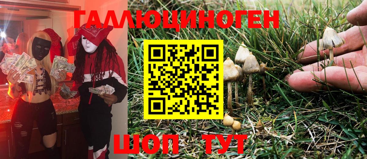 Галлюциногенные грибы Magic Shrooms  Вход с VPN  Донской  Галлюциногенные грибы GOLDEN TEACHER 